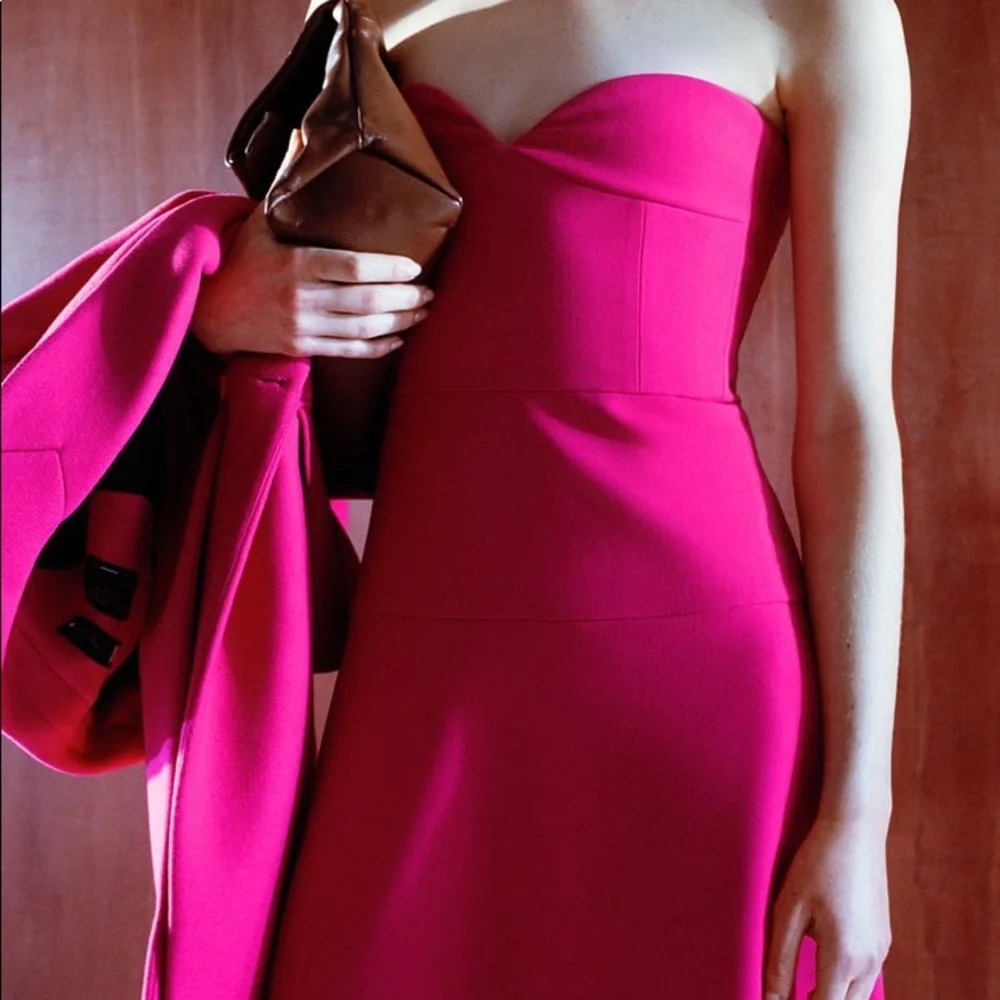 Zara Bustier Midi Dress - Picture 5 of 15